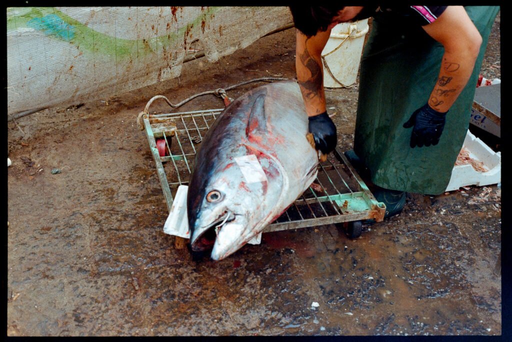 Nelb Rodrigues 009 Sicilia PT2 ColorPlus 20094043 Blog