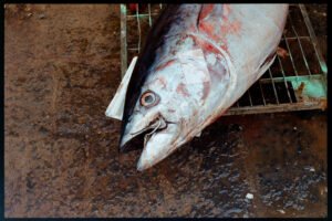 Mercato del Pesce a Catania